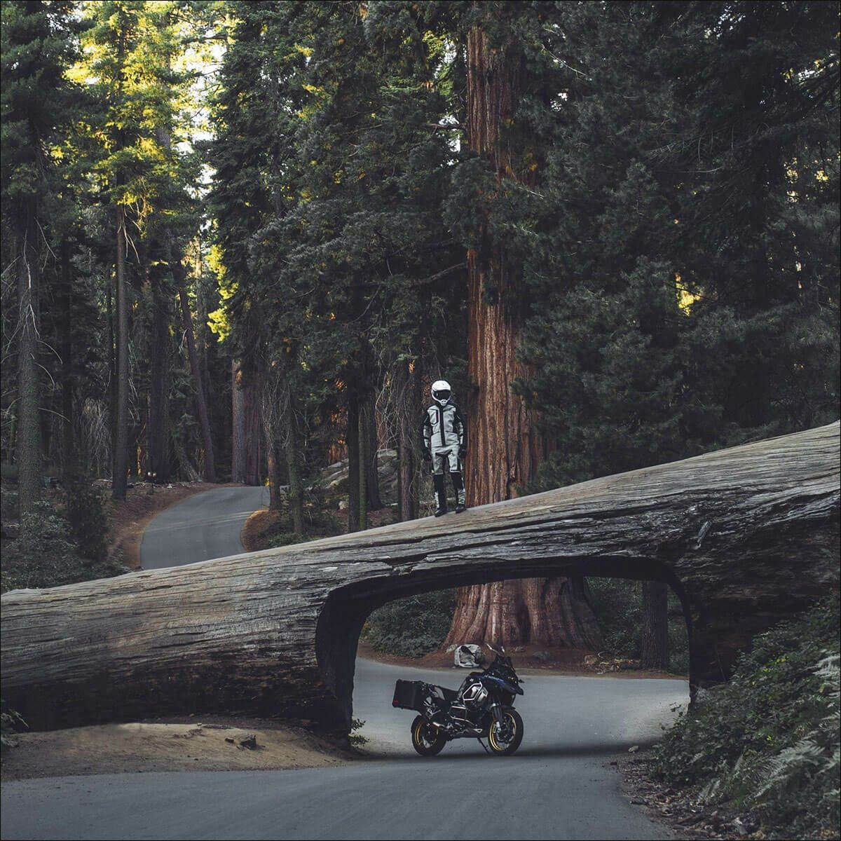 SPIDI｜ミッション-T シールド ジャケット｜ファブリック｜ブラック×アイス｜モデル着用