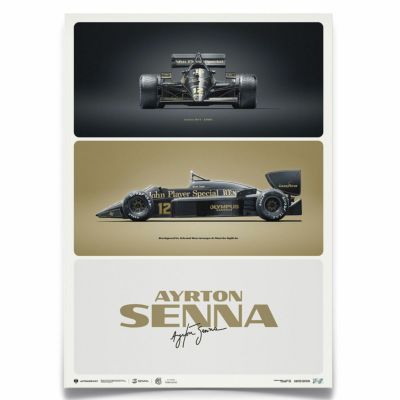 Ayrton Senna King of the World ポスター | Motorimoda公式オンライン 