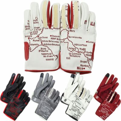 SHINICHIRO ARAKAWA｜アルピ リカモ｜3シーズン