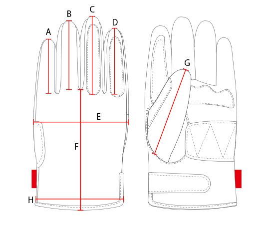 SHINICHIRO ARAKAWA｜アルピ リカモ｜3シーズン