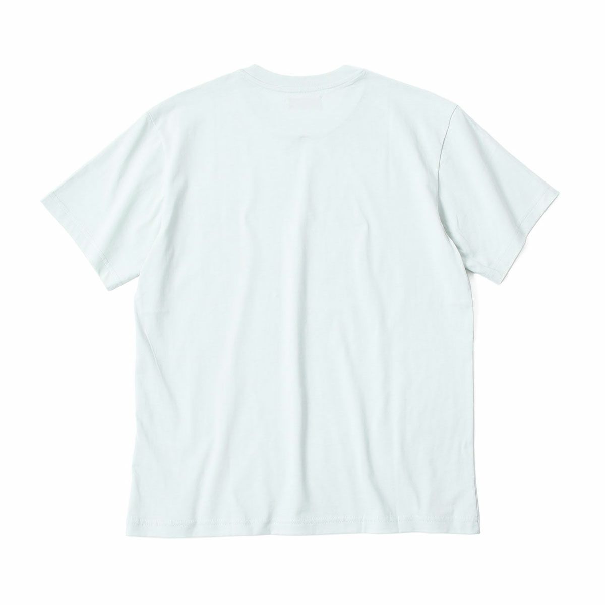 Replay｜アニュアル サマー リユニオン Tシャツ｜ライトミント