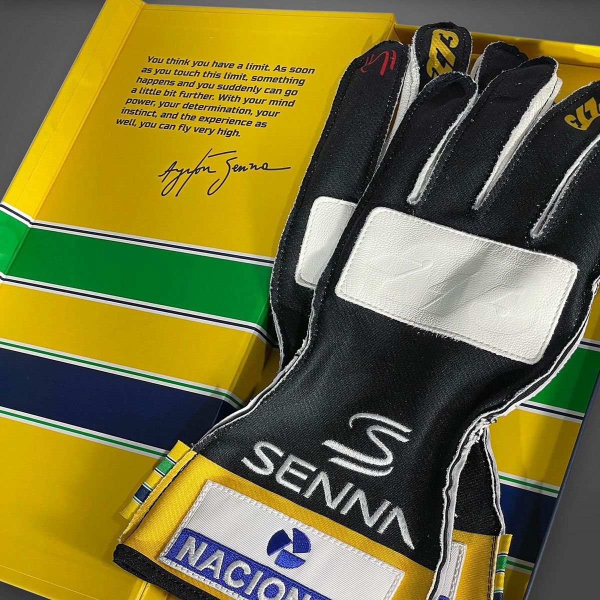 AyrtonSenna｜アイルトン・セナ × -273 レーシンググローブ｜グローブ｜ブラック