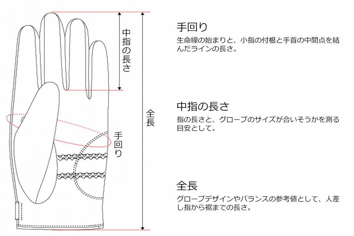 Motorimoda｜レザードライビンググローブ イングレーゼ｜ロング